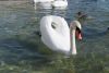 IMG-20190305-WA0030.thumb.jpg.bd057a1d4c916f000ecebda3a358d2db.jpg