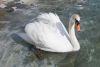 IMG-20190305-WA0033.thumb.jpg.396535014d2dd514078fa2f5a49acbe0.jpg