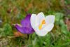 IMG-20190305-WA0077.thumb.jpg.f45d4b29e4edfb5a02a49c77a87cdfd1.jpg