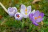 IMG-20190305-WA0080.thumb.jpg.c8188f70c9c3c6ac41710e9f26bd95fb.jpg