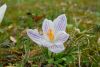 IMG-20190305-WA0084.thumb.jpg.493ecd16112884f417b0b0799c99b1f4.jpg