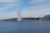 IMG-20190305-WA0104.thumb.jpg.53a13dd658441059412e42125d34f40d.jpg