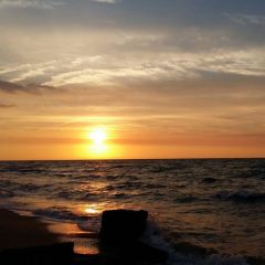 YanaM