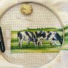 IMG_20190102_221626.thumb.jpg.292125941319db599fd1b7beffe5859b.jpg