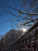 IMG_20190223_104244.thumb.jpg.3a9cc9d12e5686c7b493d251d90e18c9.jpg