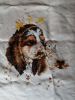 IMG_20190326_181106.thumb.jpg.4fc2e6a6000e96f06c15b6eebba07a68.jpg