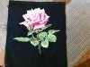 IMG_2787.thumb.JPG.750908248fdc4726e999dd7b87523274.JPG?1551681198803
