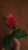 P_20190307_204842_SRES.thumb.jpg.b76ae03a56659aadabf7b64f559fce5d.jpg