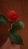P_20190307_204858_SRES.thumb.jpg.4b36a558806ebc1bc38355131f180d13.jpg