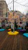 P_20190308_123610.thumb.jpg.327fb854f625b6b6ae0f3a2bc529f048.jpg