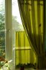 SDC14336.JPG