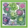 Joy Sunday J279, Cabbage