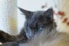 _DSC_7337.thumb.JPG.55435f0a6d53ea0e690c63addd73ca86.JPG