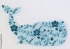 _NKN9580whale-wp.thumb.jpg.4536485138de39b6f43082e5c9c2b2ae.jpg