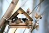 image.thumb.png.6f8ae58ce92dd1625d9e6493b719d00b.png