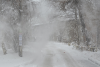image.thumb.png.fe5c6957b3207f74a32c8844018142bb.png