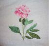peonies23.thumb.JPG.74fab1e4043d6450b14665092a9b0fee.JPG