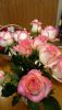 02D10752-A23A-4846-803C-E1AFB1802EB7.thumb.jpeg.a19b47ffe30a2e6b1f28ab88a8bc9de6.jpeg