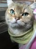 041DE595-9A5F-4701-8612-3A14CFBC1BA6.jpeg