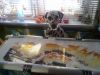 07092016445.thumb.jpg.e5ed8d8d03afc9e7e2eeb62030a79bed.jpg