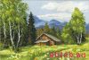 Риолис (Сотвори Сама) 1051, Домик в лесу