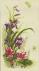 128099734_.thumb.jpg.ddb7353f0b53a8bf906012f76a237e88.jpg