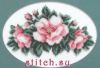 17521.thumb.jpg.9d808aed1ab4493f9bd7016c84fdd04c.jpg