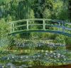 1823154316_TheJapaneseBridge(TheWater-LilyPond)2.thumb.jpg.31fdde619f1cdb4aa31fb949b4f8018c.jpg