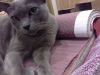 20180408_223408.thumb.jpg.f062582ab9f29dacec75de678eb1ded6.jpg