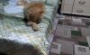 20190328_144559.thumb.jpg.6ba9cd9f99c31db8a49233cb7160e5a9.jpg