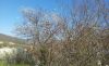 20190331_132508.thumb.jpg.9ced77d935540d301546b3225e3e991e.jpg