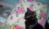 20190401_113009.thumb.jpg.51d673e642c60a4661157d753dc593bd.jpg
