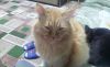 20190403_172214.thumb.jpg.d3ce196e2f259be81167421d68f3d38b.jpg