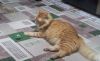 20190403_213401.thumb.jpg.bc3214ea8ae7910cd2b5a5268fe719ce.jpg
