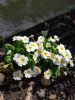 20190405_135935.jpg
