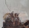 20190405_141151.jpg