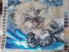 20190406_122020.thumb.jpg.322a9b1937ced3edf37148f9a354b225.jpg