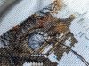 20190407_100110.thumb.jpg.6d081e0648493beb47e389209e019b0e.jpg