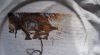 20190407_123324.thumb.jpg.9e7a2a05b13dc258448e89aa01a5ad33.jpg