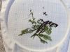20190407_160429.thumb.jpg.554d28ccdd37fb6c5605141759a5bef6.jpg