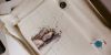 20190409_013756.thumb.jpg.ddffbc0b75bf3c9da2d60cc223547592.jpg