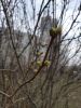 20190409_181604.thumb.jpg.a5d7a64b9b1bf641605e4352adcbb3c7.jpg