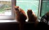20190411_115929.thumb.jpg.01dc338bb0609a01a3d8f884d4edd898.jpg