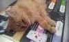 20190412_133321.thumb.jpg.4fcef0a5e245b4aa609ab8d256df26e1.jpg?1555070293136