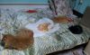 20190419_143857.thumb.jpg.e6490cef16222b2c5953f2cba4380833.jpg