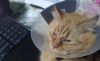 20190420_113559.thumb.jpg.2f969f59f7d1cc4a75639184d71a3d56.jpg