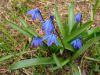 20190421_152443.thumb.jpg.ff17b004d4d1881bc30537de7a53e410.jpg