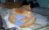 20190423_175347.thumb.jpg.8654aecaed3f30c8c78ff5d941730b6c.jpg