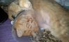20190426_183113.thumb.jpg.e4bfb875ad9a40dba54cdbb75e7c5733.jpg