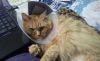 20190426_183257.thumb.jpg.17e12dc2a888a235d1b4bb993e17eca0.jpg